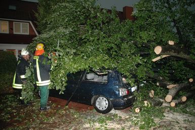 In Kölln-Reisiek begrub ein Baum zwei Autos unter sich.