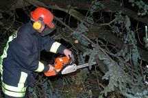 Sägeeinsatz in Ellerhoop, Alter Schulweg