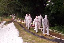 Die Einsatzkräfte tragen wegen des Eichenprozessionspinners Einmalschutzanzüge.