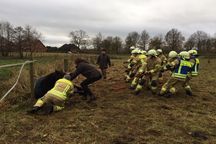 FF Tangstedt (2), KFV Pinneberg (2)